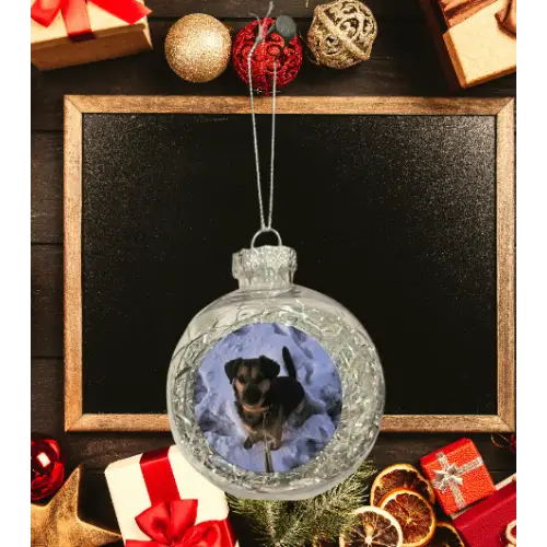 Boule de noël argentée